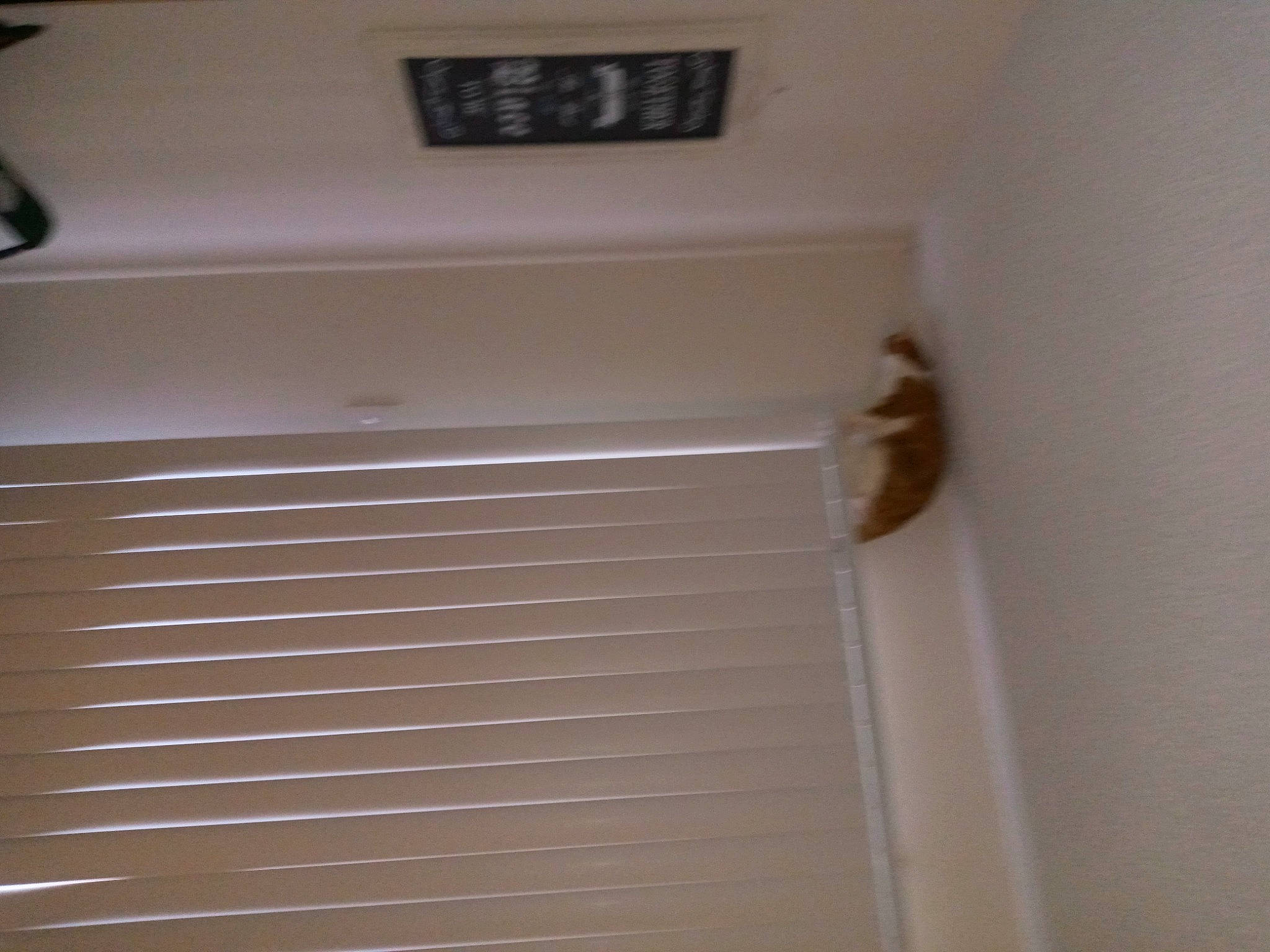 Lexxi joined the competition — help win amazing prizes! brown, ceiling, composite_material, electrical_wiring, fixture, gas, hardwood, metal, molding, plywood, room, sash_window, shade, tints_and_shades, window, window_blind, window_covering, window_treatment, wood, wood_stain