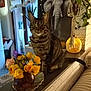 candle_holder, cat, cozy, curtain, decor, domestic_cat, elephant_art, flower, furniture, indoor, ledges, living_room, plant, striped_cat, tabby_cat, table, vase, warm_lighting, window, yellow_rose