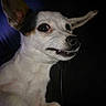 IOKO participe au concours pour gagner de l'argent avec cette photo :