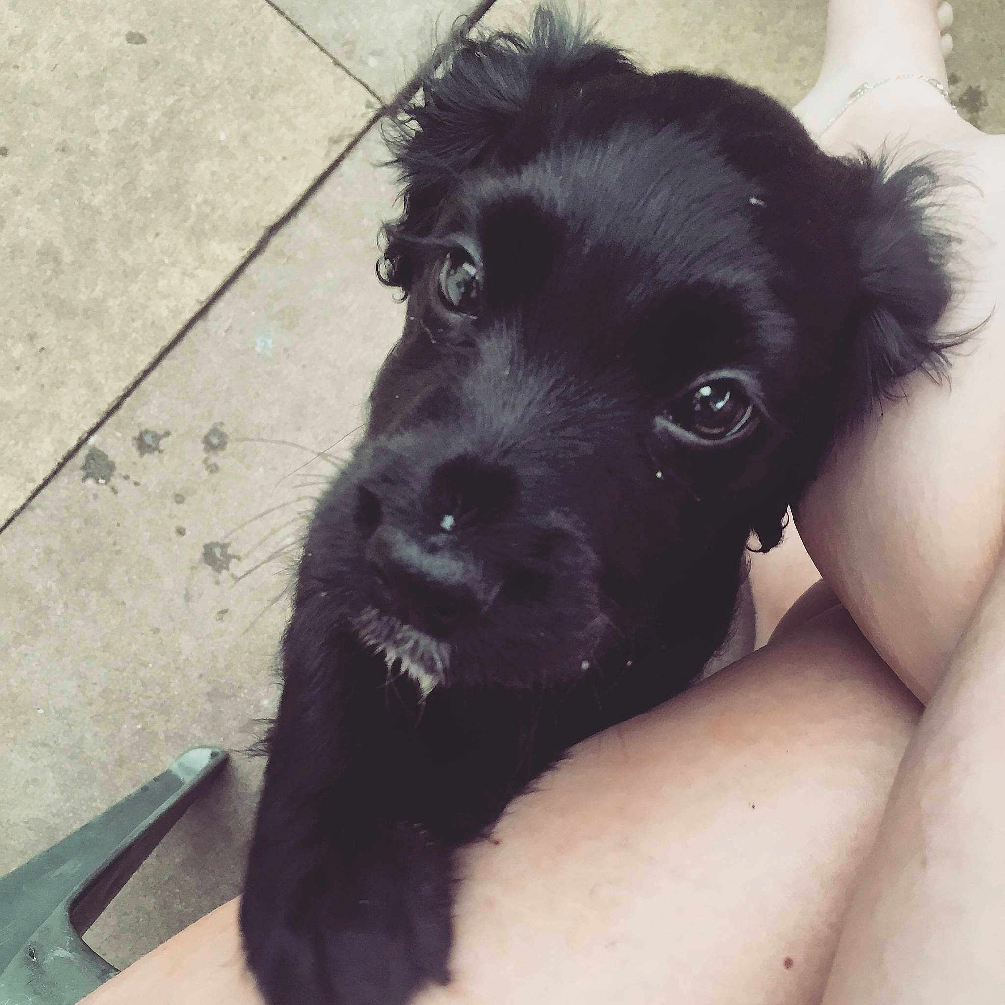 Doris