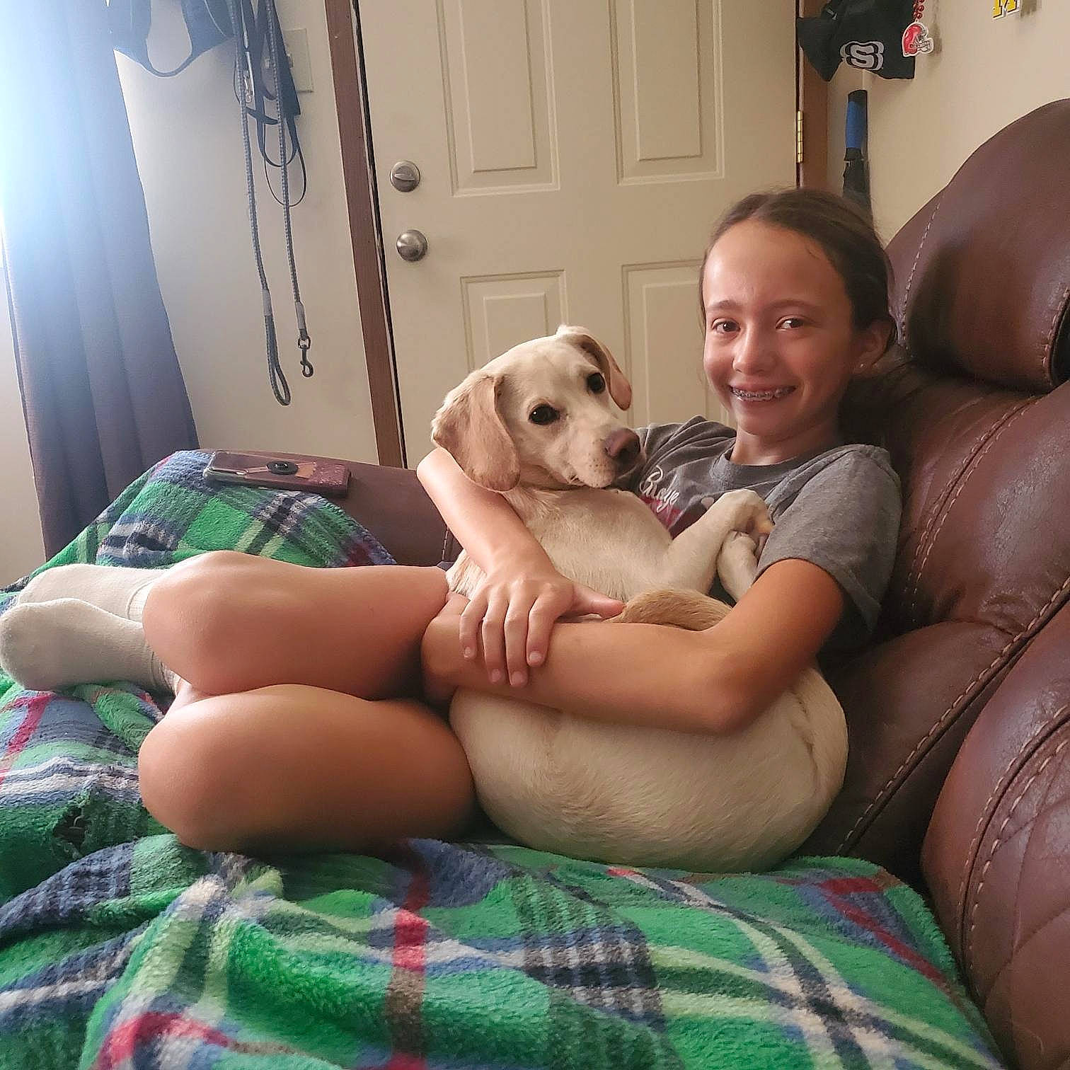 Daisy joined the competition — help win amazing prizes! carnivore, comfort, companion_dog, couch, dog, dog_breed, fawn, fun, human_body, interaction, lap, leisure, living_room, mammal, muscle, picture_frame, plaid, smile, tartan, thigh