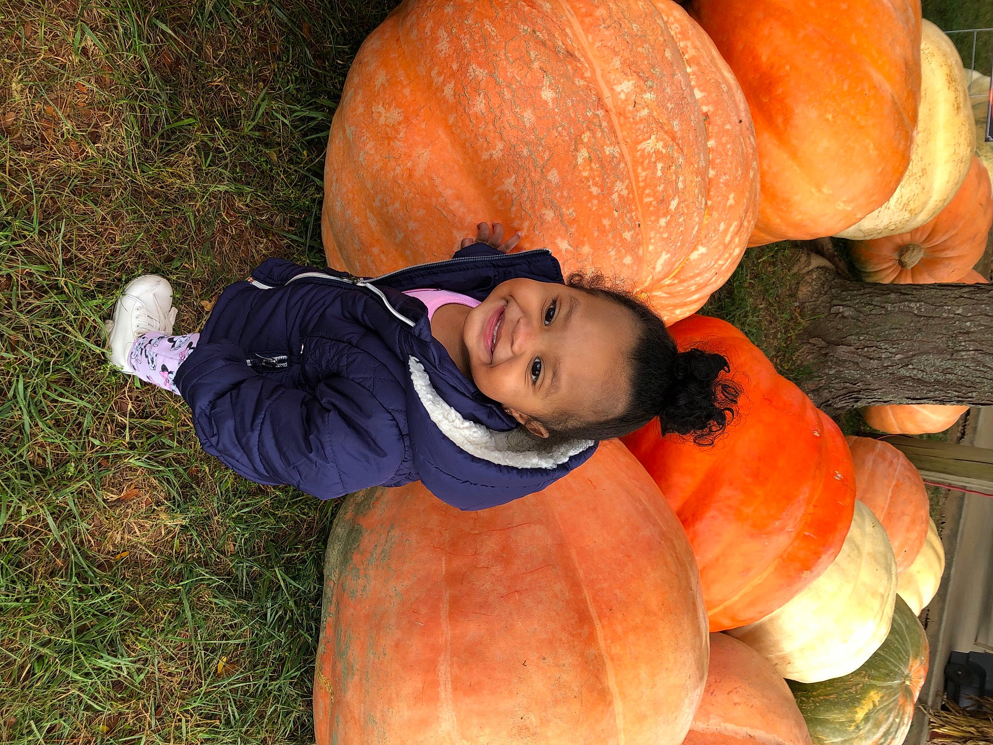 Mariyah joined the competition — help win amazing prizes! _and_melon_family, _gourd, calabaza, cucumber, cucurbita, fruit, gourd, joy, local_food, natural_foods, orange, peach, people_in_nature, person, produce, pumpkin, seedless_fruit, squash, staple_food, vegan_nutrition