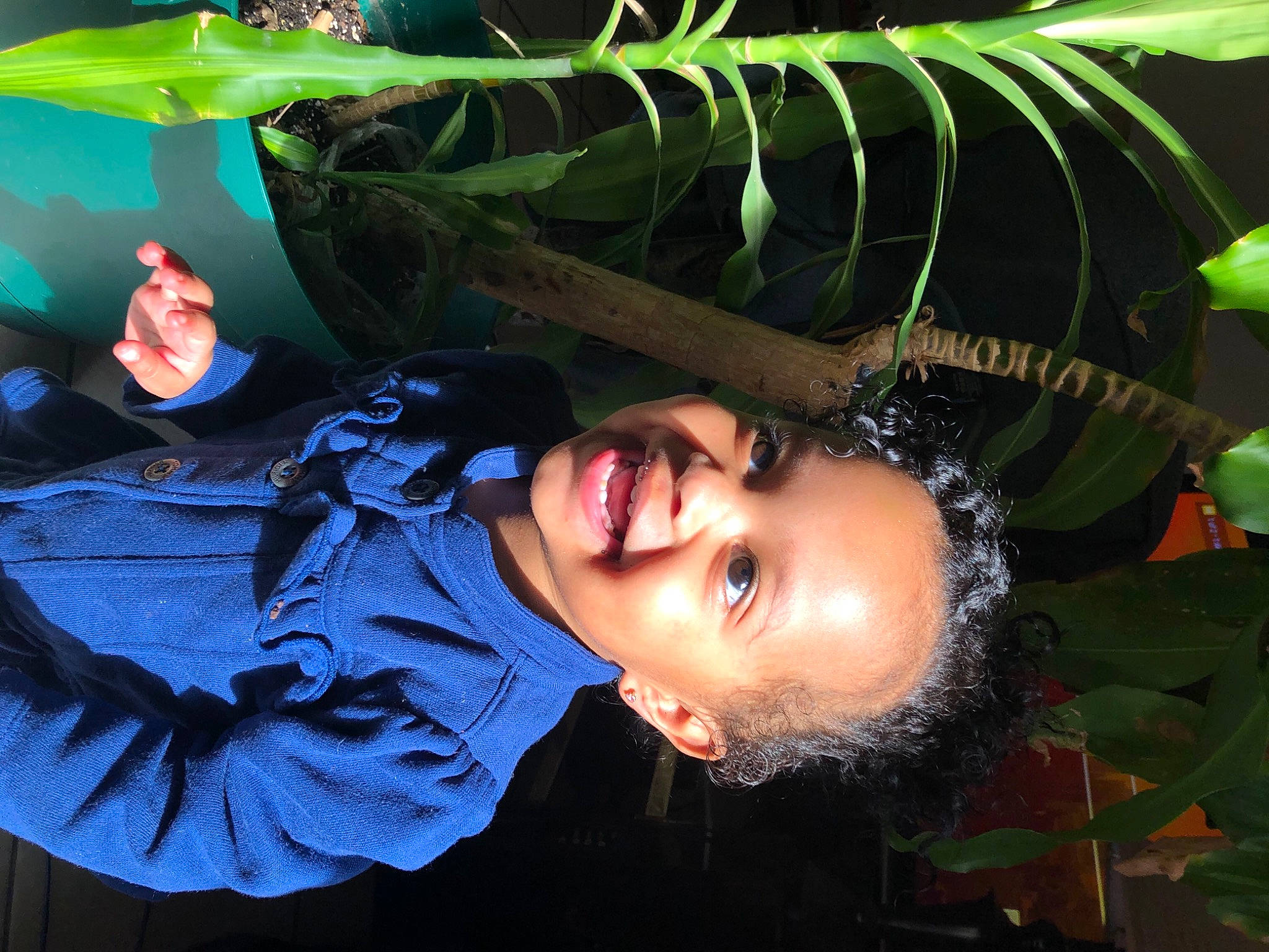 Mariyah is registered to the contest to win money with this photo: black_hair, cool, jaw, joy, jungle, leaf, mouth, nose, person, plant_stem, portrait_photography, terrestrial_plant