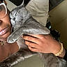 Stormie is registered to the contest to win money with this photo: affection, animal, bed, bracelet, cat, closeup, comfort, cozy, feline, glasses, gray_cat, hand, human, indoor, person, pet, pillow, resting, sleeping_cat, snuggling
