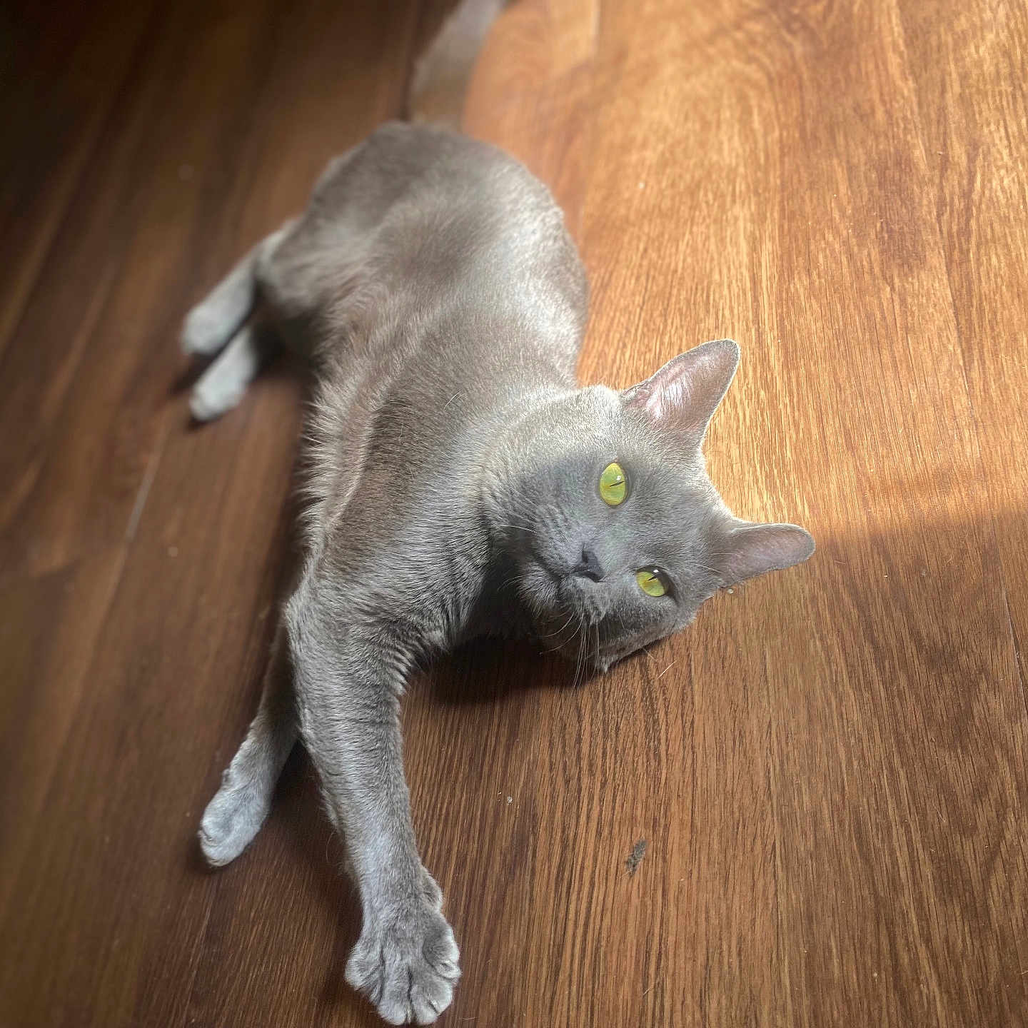 Stormie