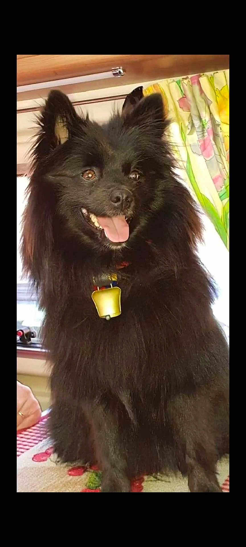 Nina