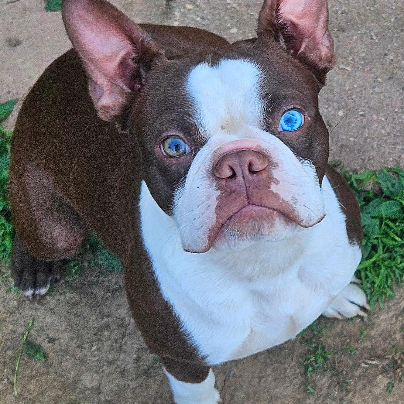 Baxter