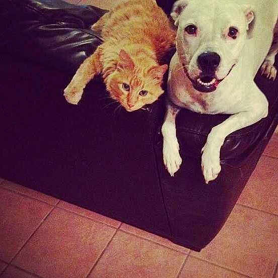 Marely And Gimpy