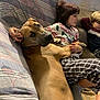 Rufus joined the competition — help win amazing prizes! dog, child, couch, blanket, indoor, relaxing, hugging, plaid_pants, patterned_blanket, pet, family, casual_clothing, cozy, brown_dog, home, floor, socks, curly_hair, short_hair, resting
