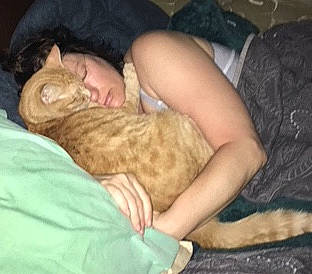 Curry is registered to the contest to win money with this photo: canidae, carnivore, cat, comfort, domestic_short_haired_cat, fawn, felidae, fur, human_leg, lap, linens, nap, paw, sitting, sleep, small_to_medium_sized_cats, tail, terrestrial_animal, whiskers, wildlife