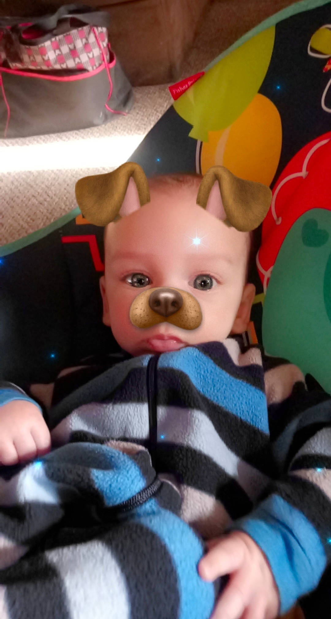 Kamren is registered to the contest to win money with this photo: boston_terrier, canidae, carnivore, child, companion_dog, dog, dog_breed, ear, fawn, french_bulldog, non_sporting_group, person, puppy, skin, snout, toddler, toy_dog