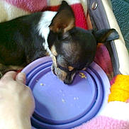 Petit Némo a rejoint le concours — aidez-le/la à gagner de superbes lots !