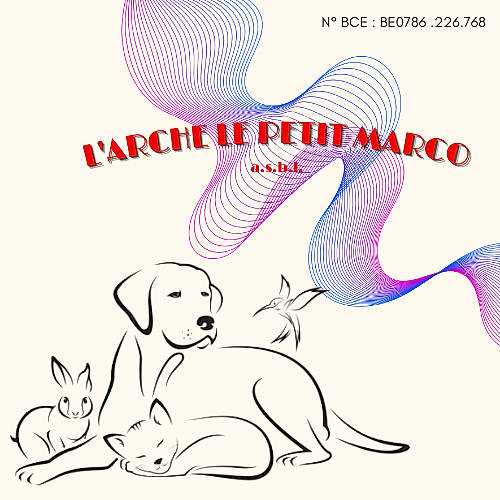 Maya participe au concours pour gagner de l'argent avec cette photo : art, carnivore, cartoon, companion_dog, design, dog, dog_breed, drawing, font, happy, illustration, line, magenta, organism, painting, snout, tail, terrestrial_animal, white, working_animal