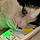 Balou