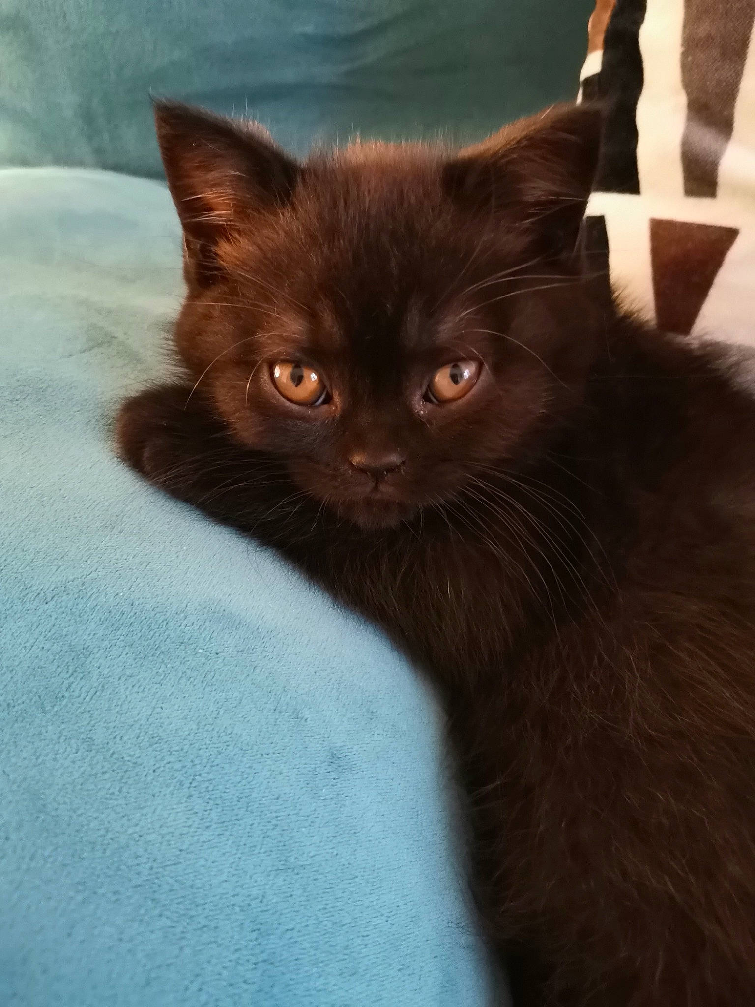 Kira