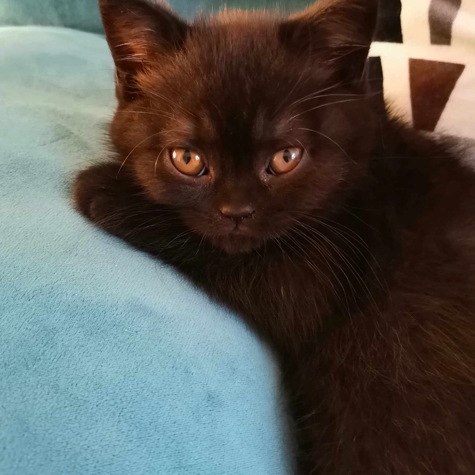 Kira
