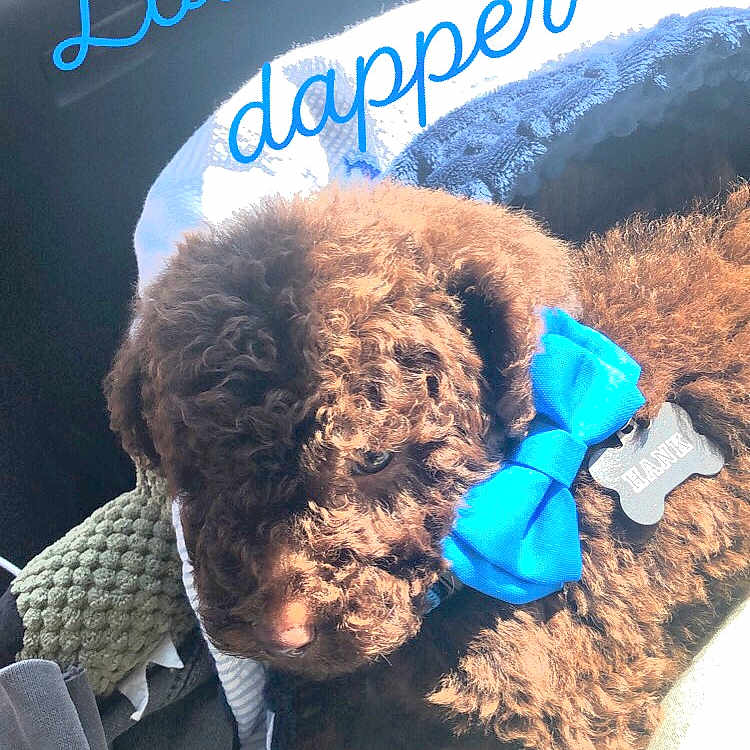 Hank is registered to the contest to win money with this photo: organism, photography