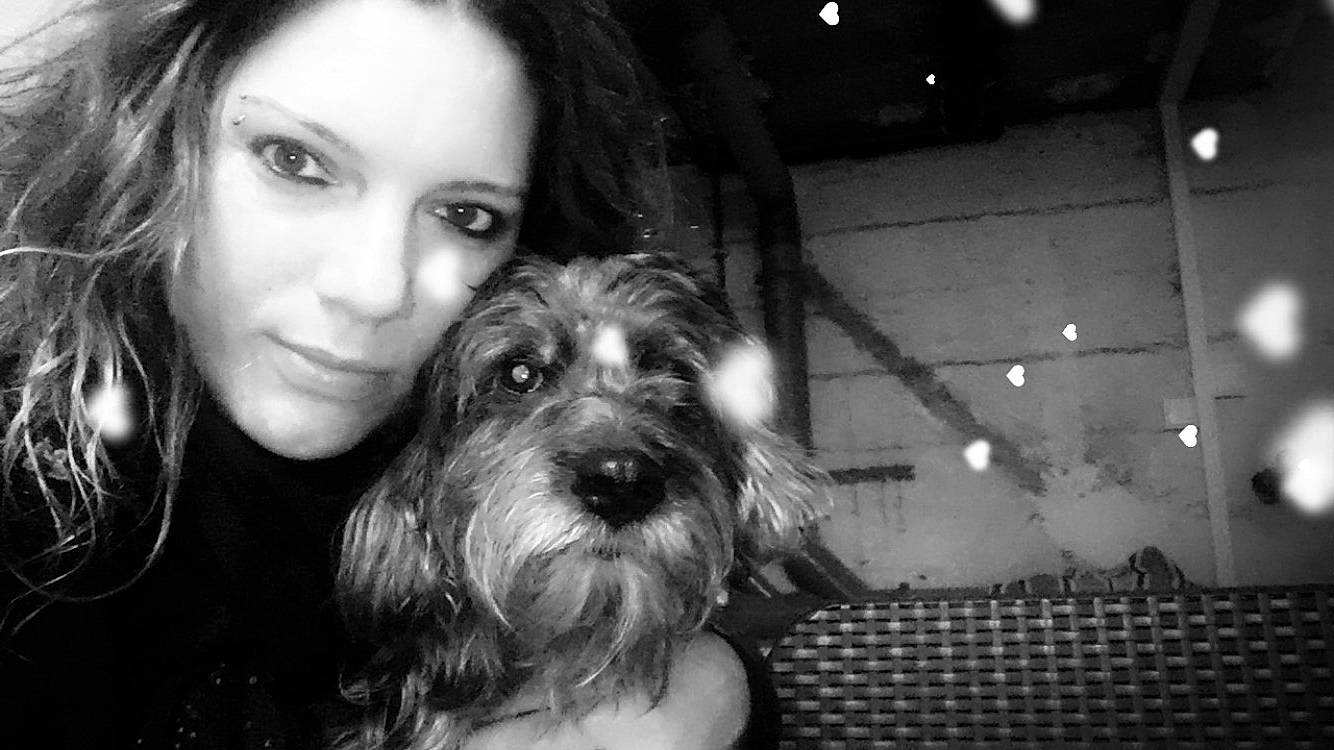 Cali participe au concours pour gagner de l'argent avec cette photo : canidae, carnivore, catalan_sheepdog, cockapoo, companion_dog, dog, dog_breed, eye, kyi_leo, mammal, miniature_schnauzer, petit_basset_griffon_vendeen, rare_breed_dog, schnauzer, schnoodle, small_terrier, snout, terrier, tibetan_terrier, vertebrate