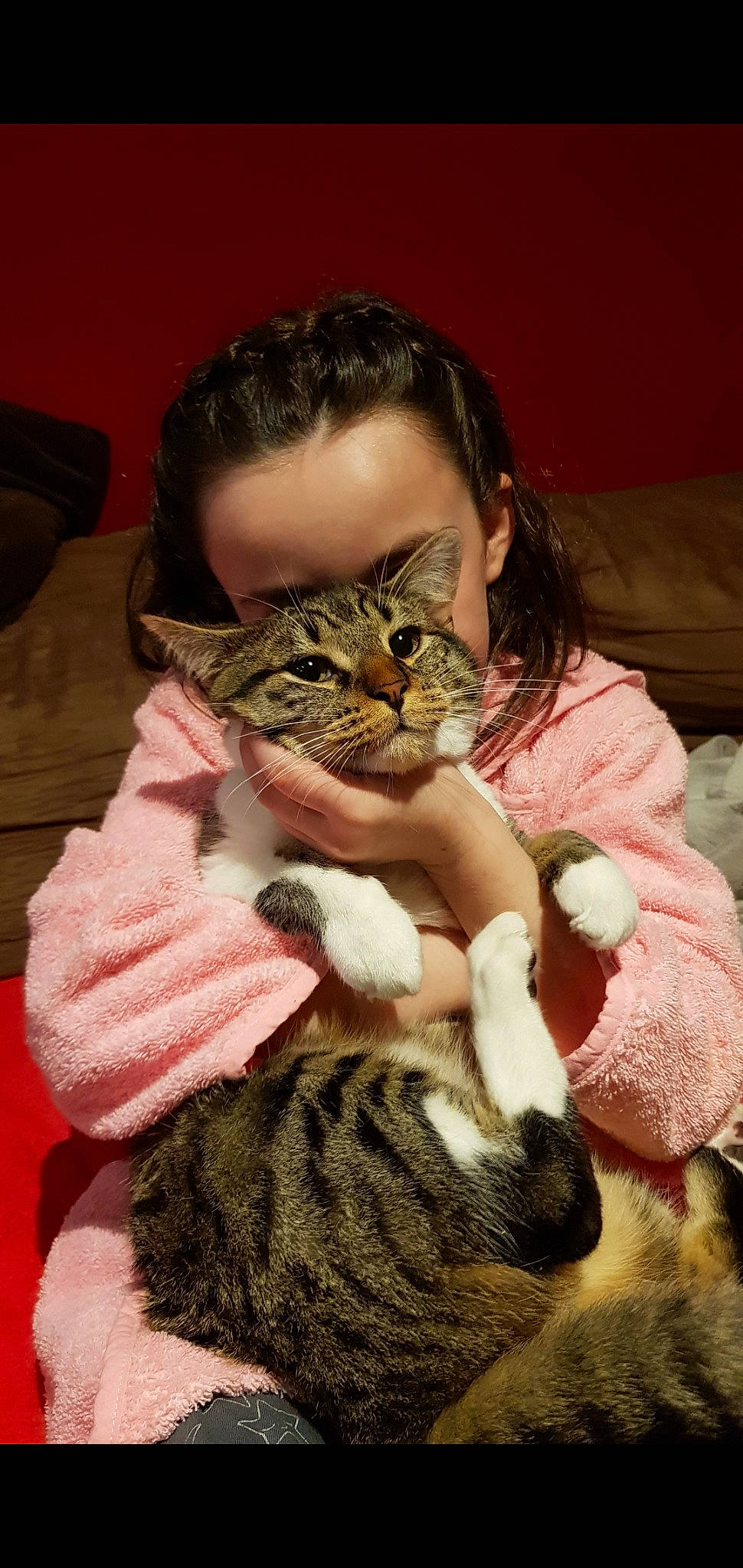 Chaussette a rejoint le concours — aidez-le/la à gagner de superbes lots ! carnivore, cat, claw, comfort, domestic_short_haired_cat, ear, fawn, felidae, fur, hug, lap, mammal, nail, paw, sitting, small_to_medium_sized_cats, tail, terrestrial_animal, vertebrate, whiskers