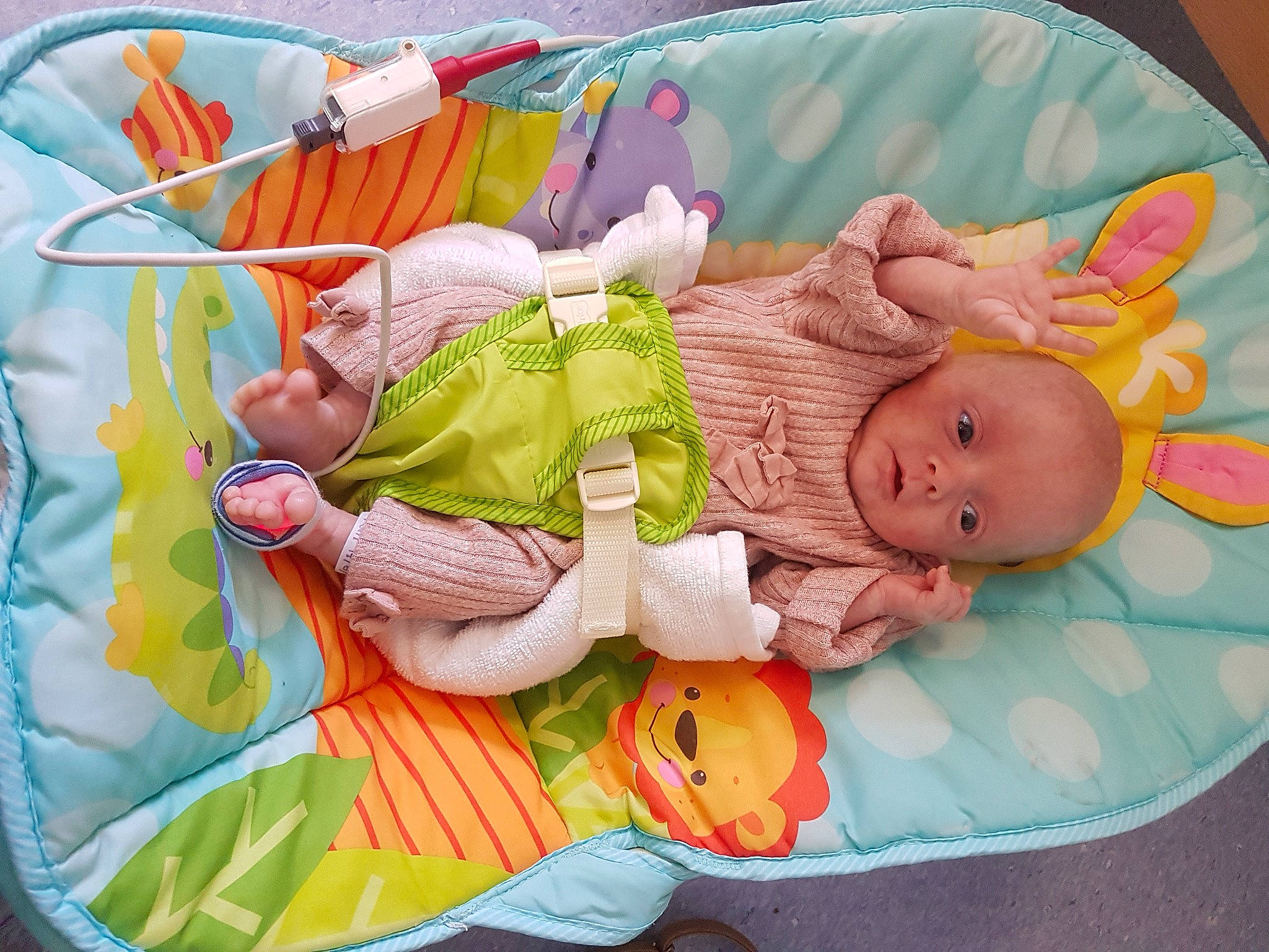 Lacey is registered to the contest to win money with this photo: art, baby, baby_products, baby_safety, baby_sleeping, baby_toddler_clothing, baby_toys, bedtime, child, comfort, infant_bed, linens, mammal, person, pink, product, room, sleep, textile, toddler