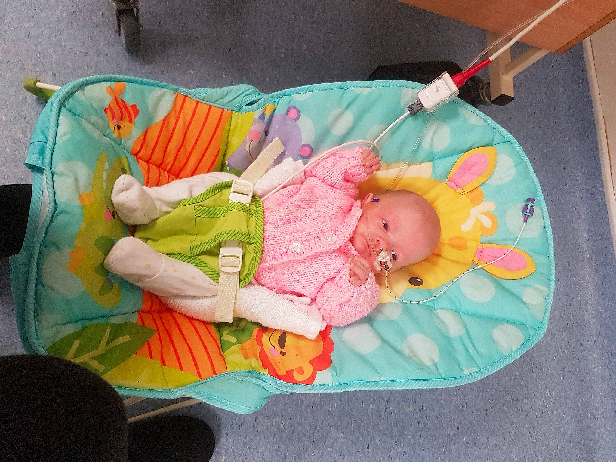 Lacey is registered to the contest to win money with this photo: art, baby, baby_carriage, baby_products, baby_toddler_clothing, baby_toys, bedtime, child, comfort, infant_bed, lap, linens, nap, person, pink, play, room, sitting, stuffed_toy, textile