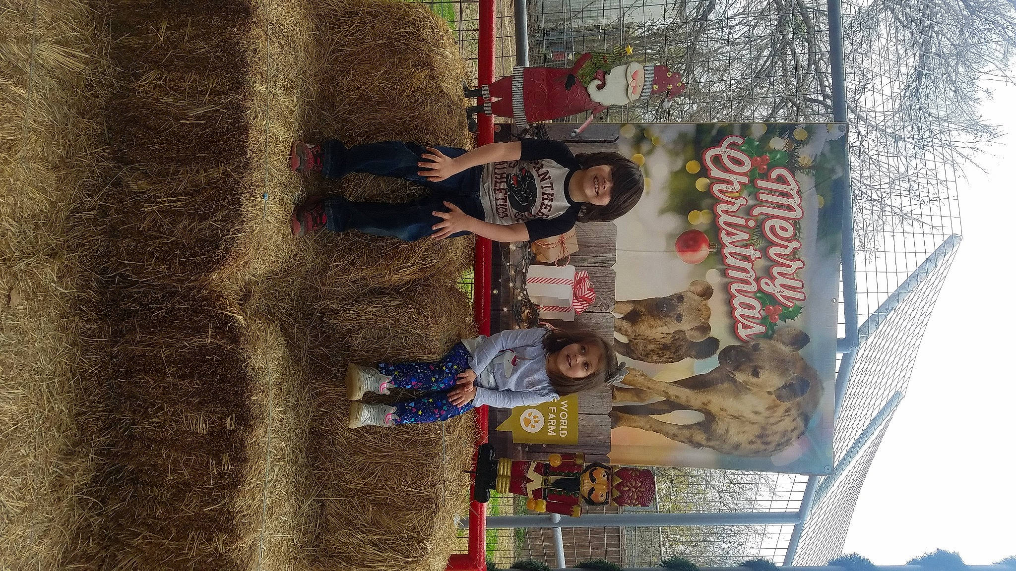 Ronan joined the competition — help win amazing prizes! art, joy, person, textile