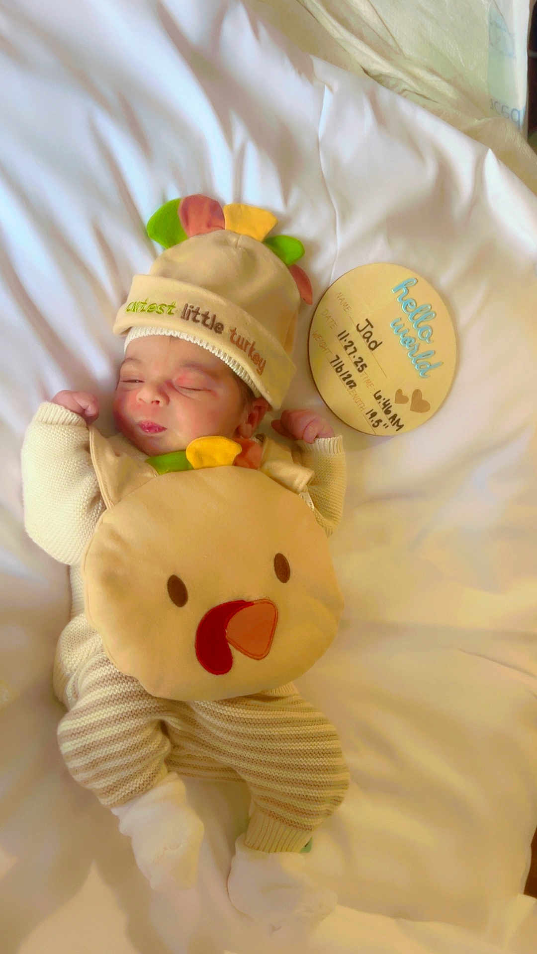 Jad is registered to the contest to win money with this photo: baby, newborn, infant, cute, turkey_costume, hat, plush, blanket, white_bed, sleeping, peaceful, wooden_plaque, birth_details, person, clothing, soft_toys, indoors, baby_outfit, lying_down, portrait