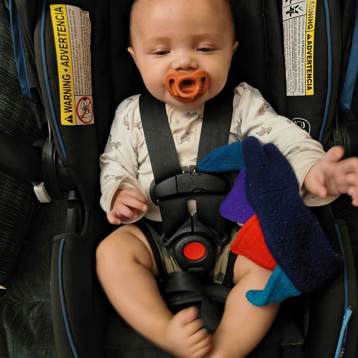 Esidro is registered to the contest to win money with this photo: baby, car_seat, child, clothing, comfort, cute, fabric, foot, hand, indoor, infant, pacifier, plush_toy, safety, seat_belt, small_child, snugride, straps, toy, warning_label