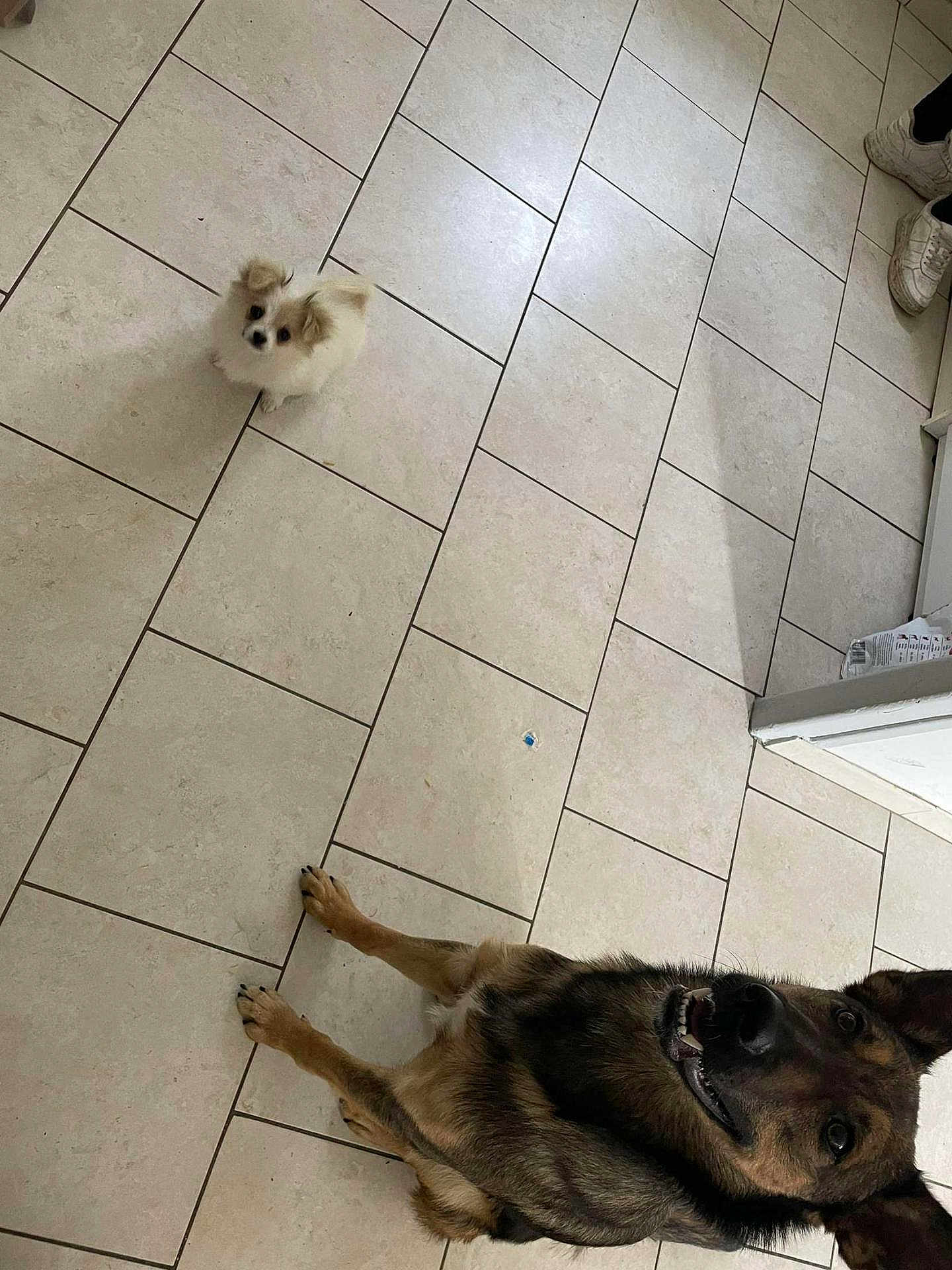 Tyson Et Vyvy
