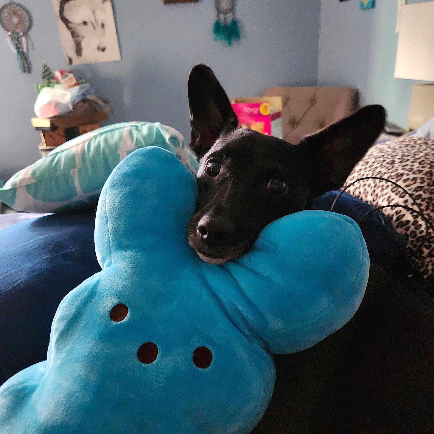 Max