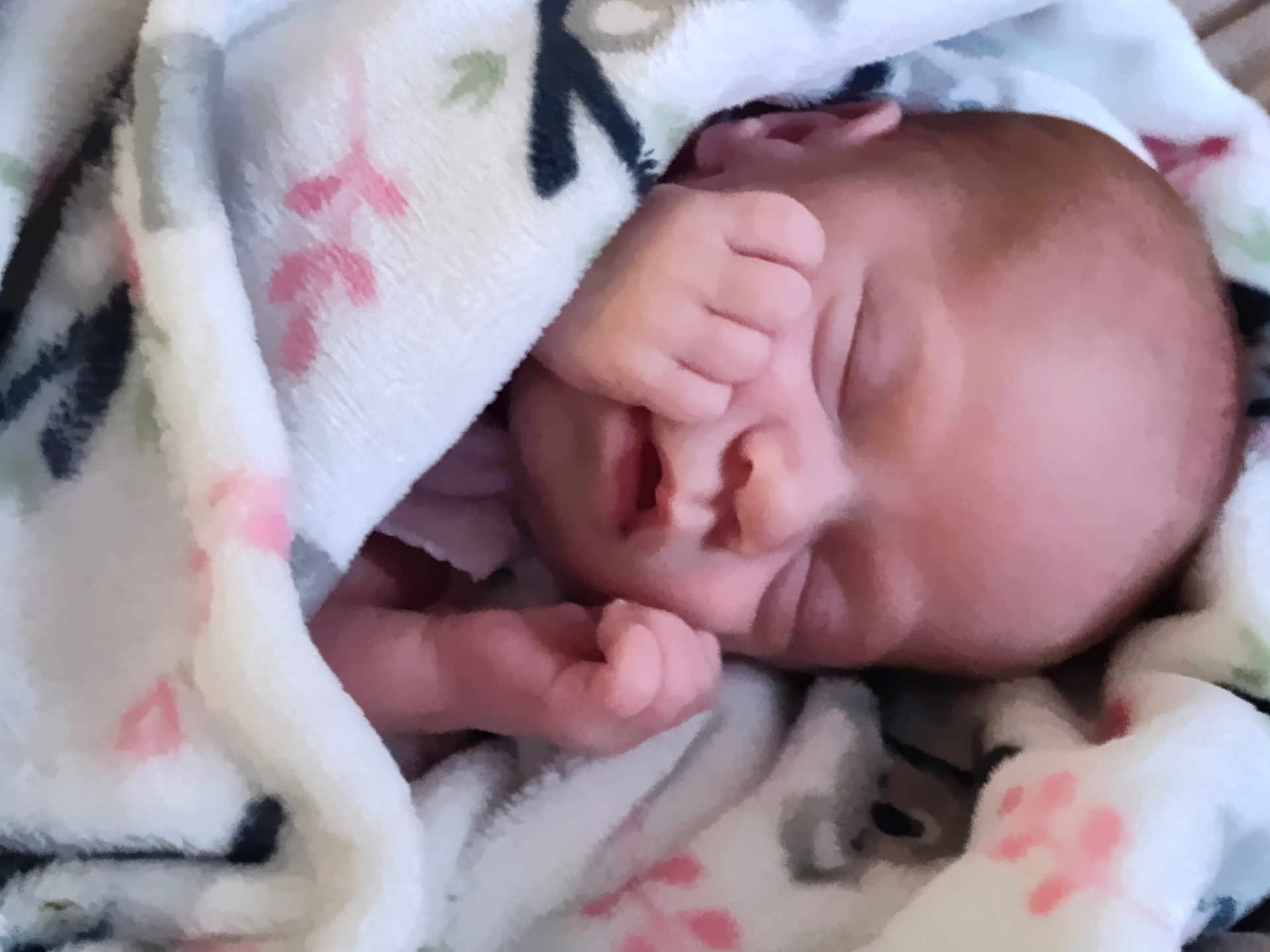 Aurelia is registered to the contest to win money with this photo: newborn, baby, sleeping, blanket, soft, patterned_blanket, infant, face, peaceful, hands, cozy, wrapped, cute, resting, child, skin, head, closed_eyes, portrait, indoor