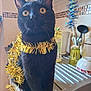 black_cat, black_fur, cat, close_up, counter, curious, decorations, domestic_animal, feline, festive, gold_tinsel, holiday_decor, indoor, kitchen, pet, portrait, sink, tinsel, whiskers, wide_eyes
