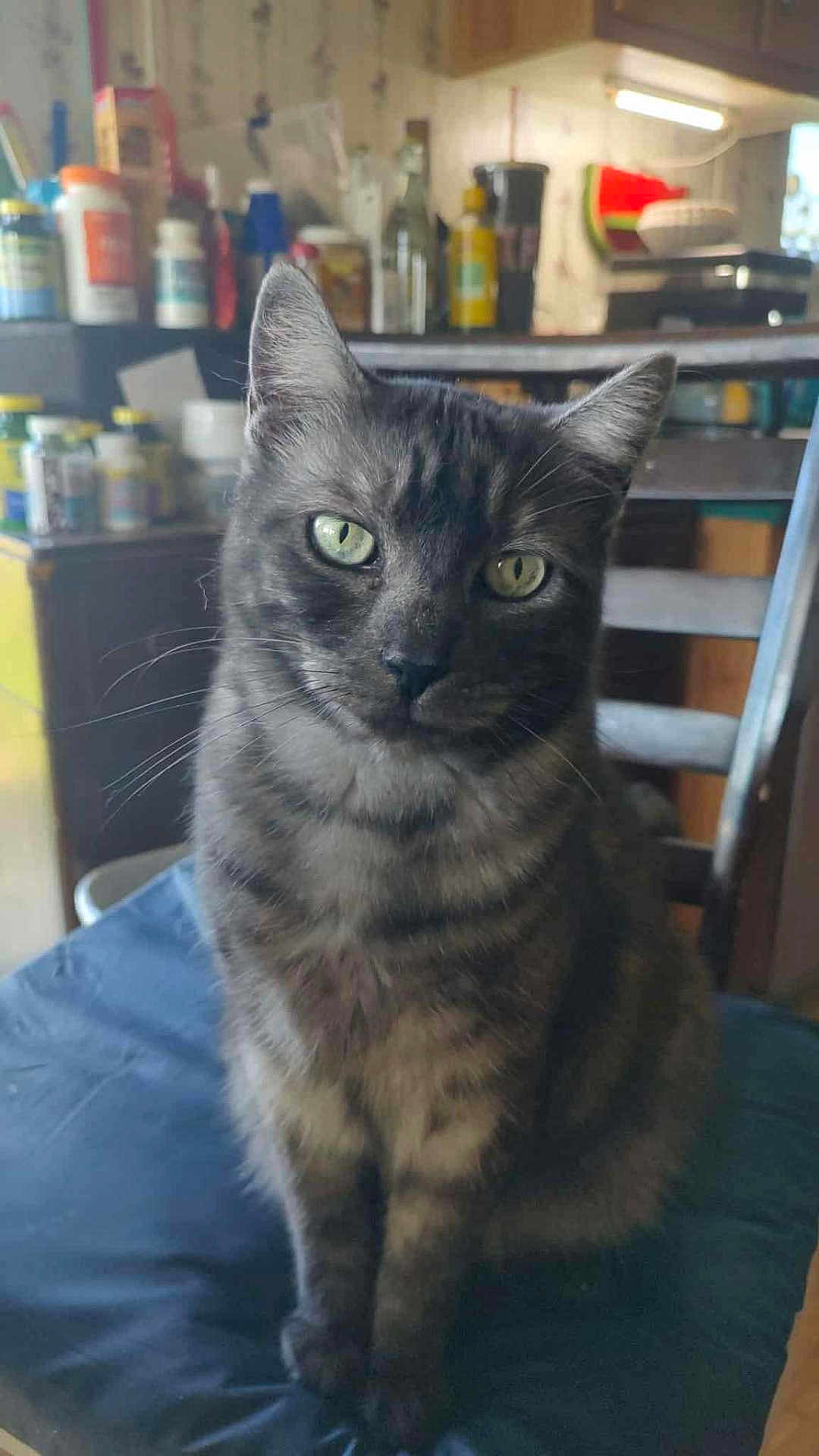 Gabe