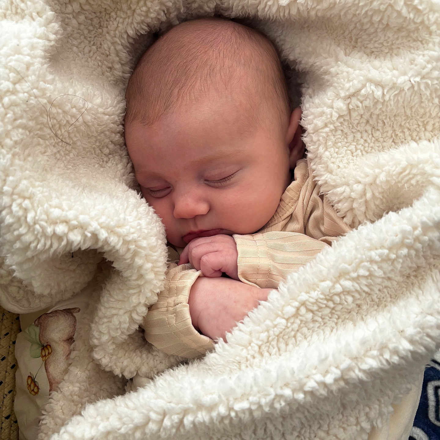 Mckenna joined the competition — help win amazing prizes! baby, blanket, child, closeup, cozy, cream_color, cute, face, hands, indoor, infant, newborn, peaceful, portrait, resting, sleeping, soft, texture, warm, wrapped