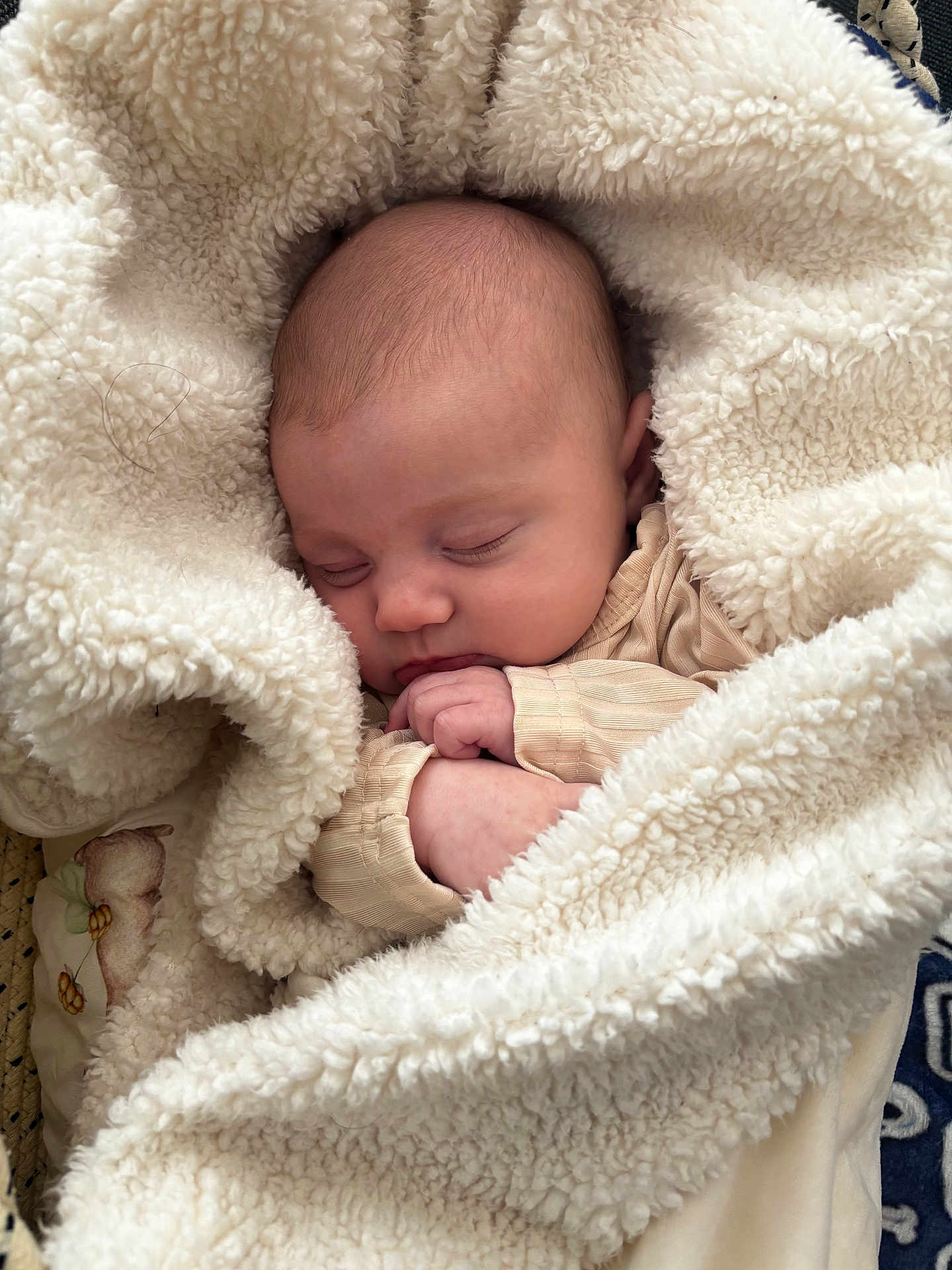 Mckenna joined the competition — help win amazing prizes! baby, blanket, sleeping, infant, soft, cozy, hands, face, peaceful, wrapped, cream_color, texture, cute, child, portrait, indoor, closeup, warm, resting, newborn