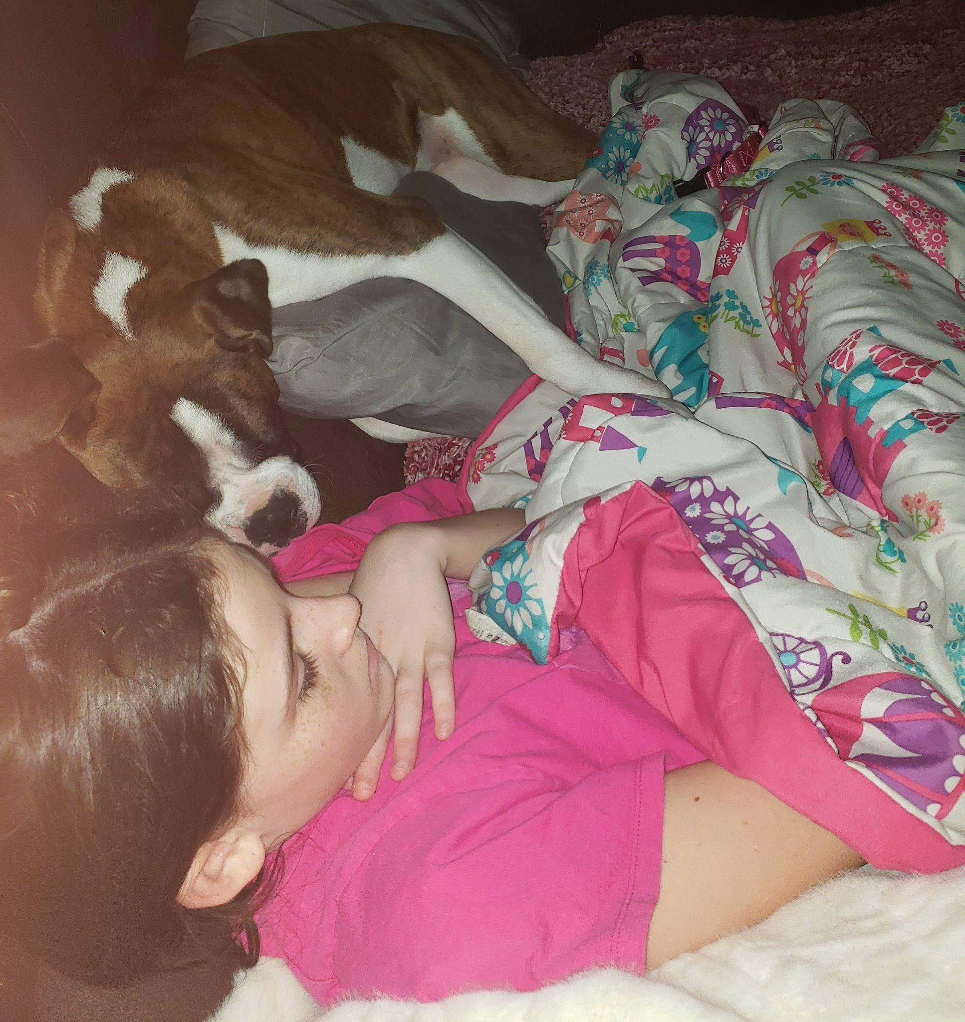 Bailee is registered to the contest to win money with this photo: bed, bedtime, child, comfort, companion_dog, couch, dog_breed, flesh, human_leg, knee, lap, leg, linens, nail, nap, pattern, pink, room, textile, thigh