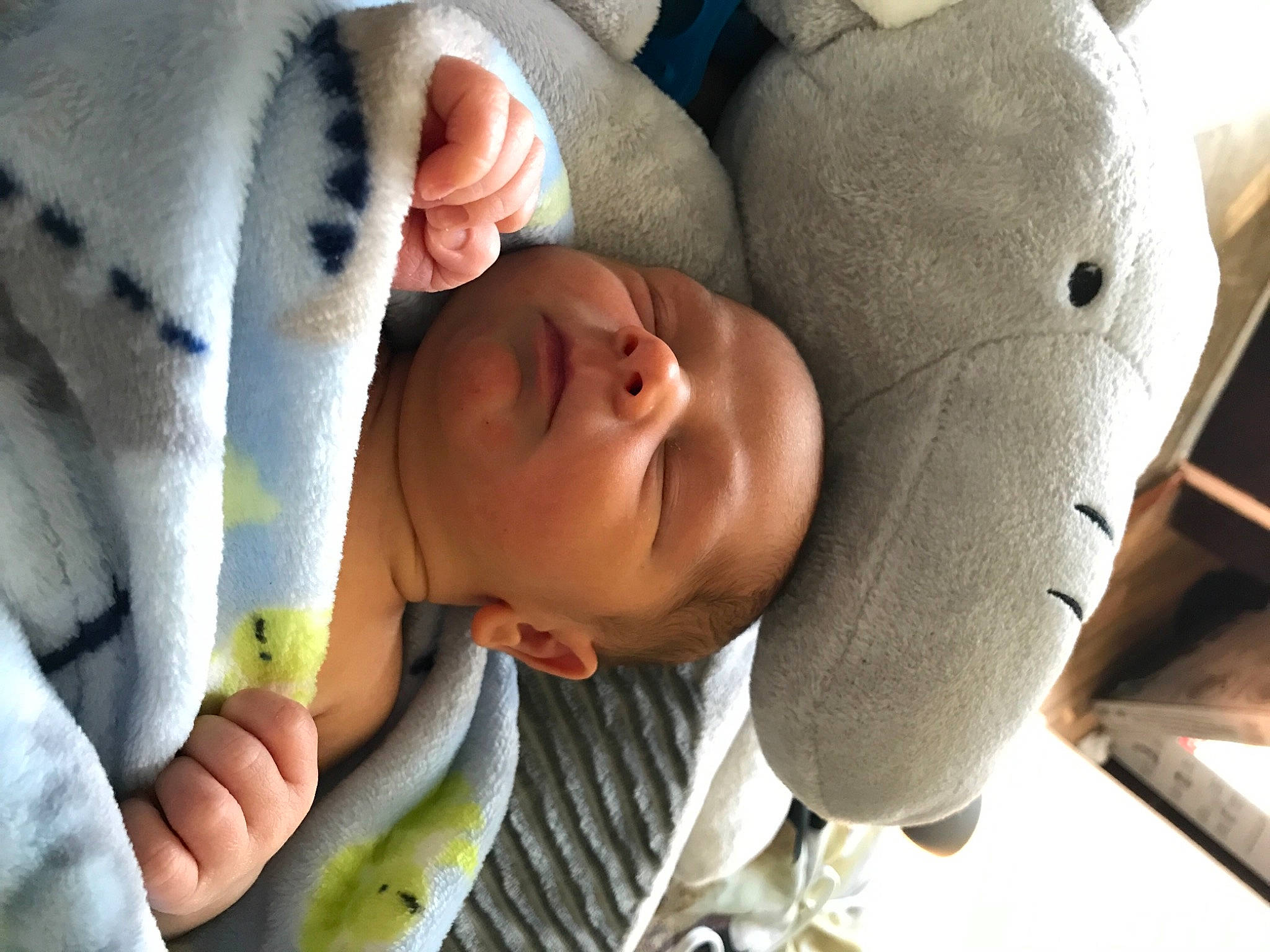 Elijah