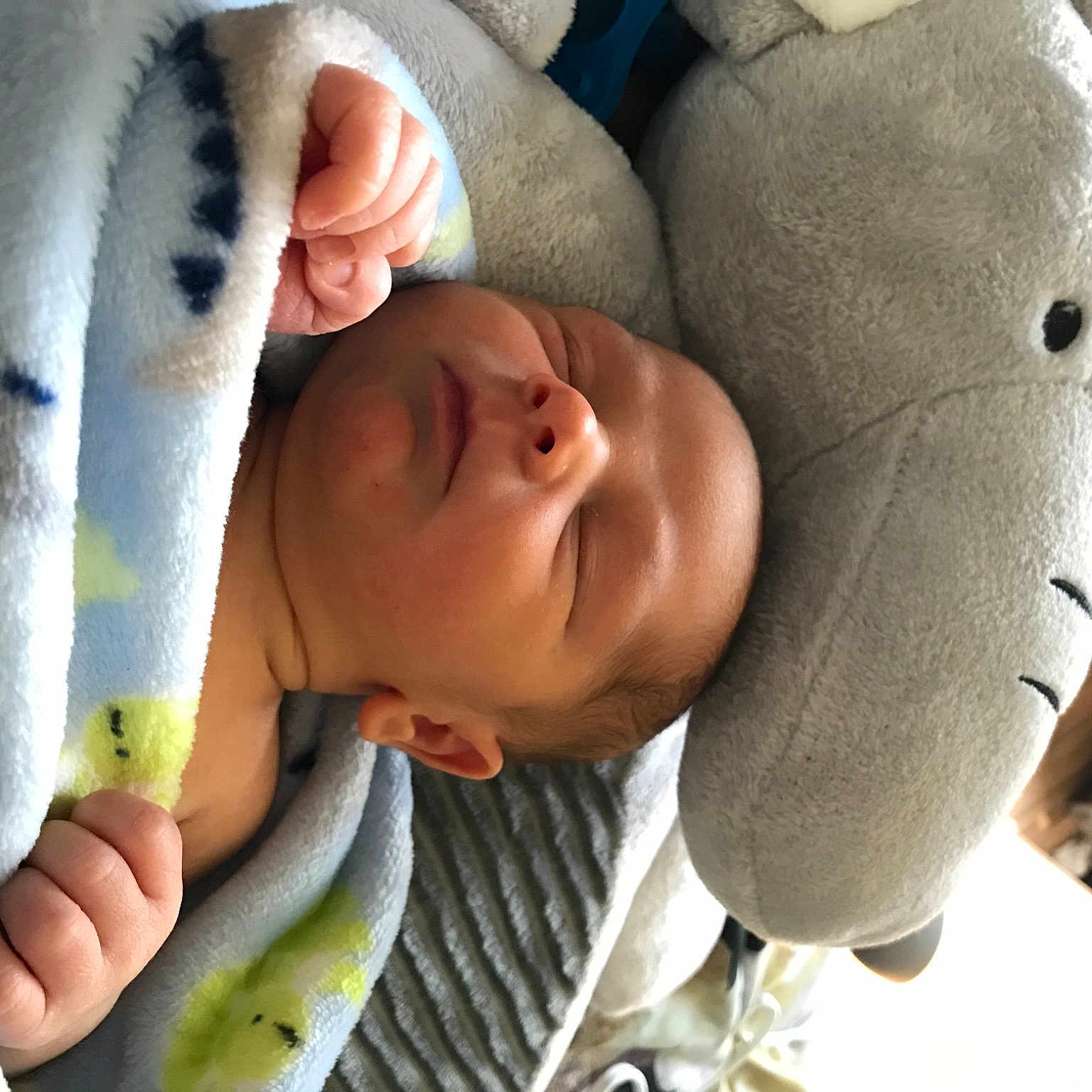 Elijah