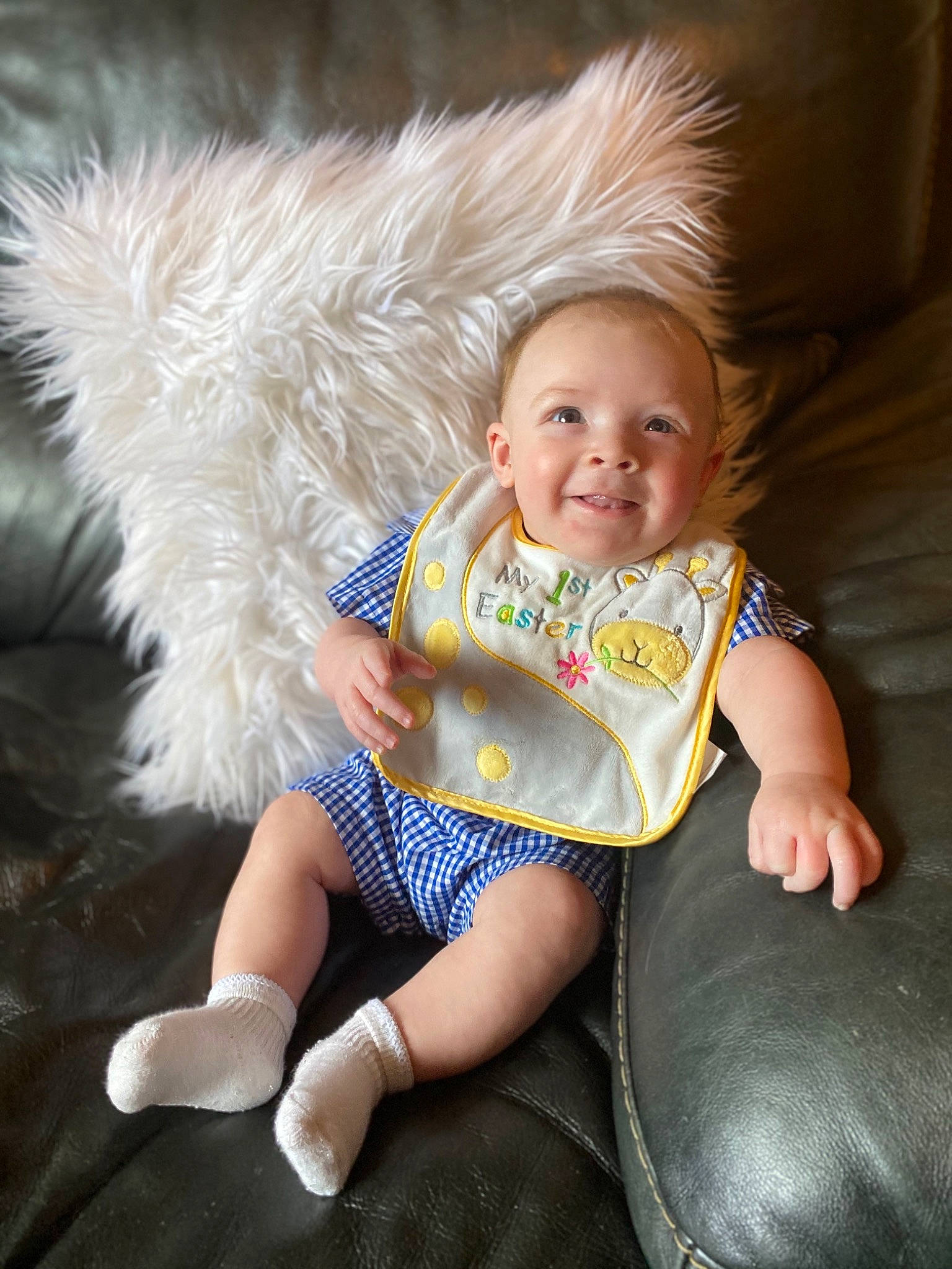 Beckham joined the competition — help win amazing prizes! baby, child, fun, fur, joy, leg, person, play, sitting, smile, toddler