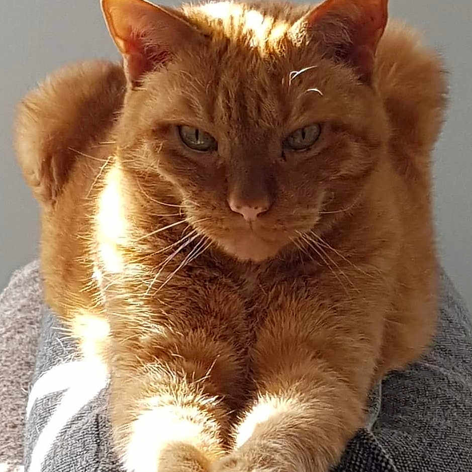 Caramel