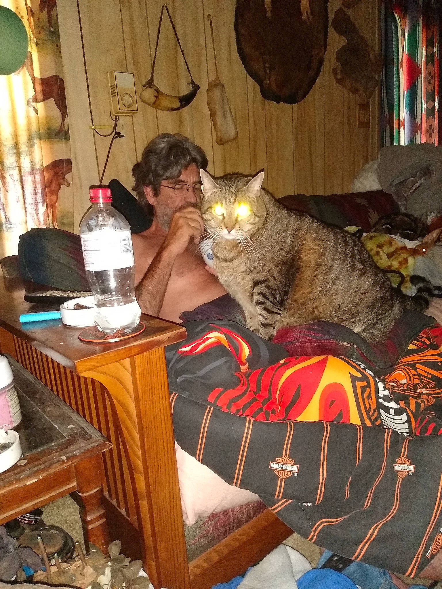 Tucker joined the competition — help win amazing prizes! bottle, cat, chair, comfort, curtain, felidae, fur, interior_design, lamp, linens, living_room, pattern, room, sitting, small_to_medium_sized_cats, table, water_bottle, whiskers, window, wood