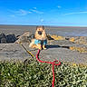 Stitch a rejoint le concours — aidez-le/la à gagner de superbes lots ! dog, leash, blue_shirt, rock, grass, beach, sea, sky, cloud, toy, sunny, outdoor, pet, canine, nature, coast, animal, shore, daytime, fur