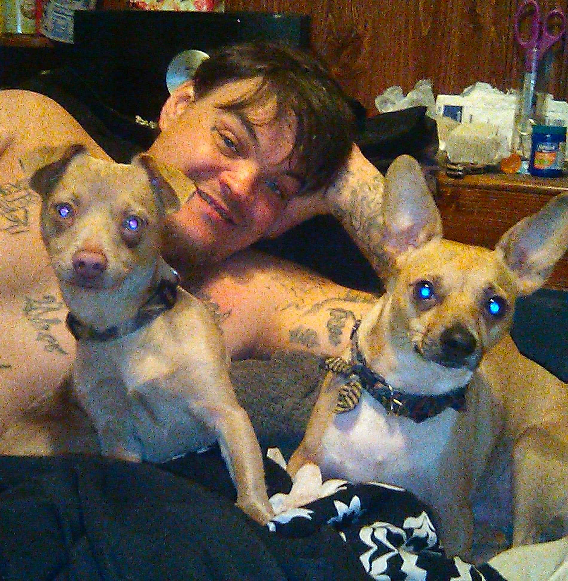 Choppo joined the competition — help win amazing prizes! canidae, carnivore, chihuahua, companion_dog, dog, dog_breed, fawn, human, mammal, non_sporting_group, plastic_bottle, puppy_love, snout, sporting_group, toy_dog, vertebrate, water_bottle, whiskers, working_animal, working_dog