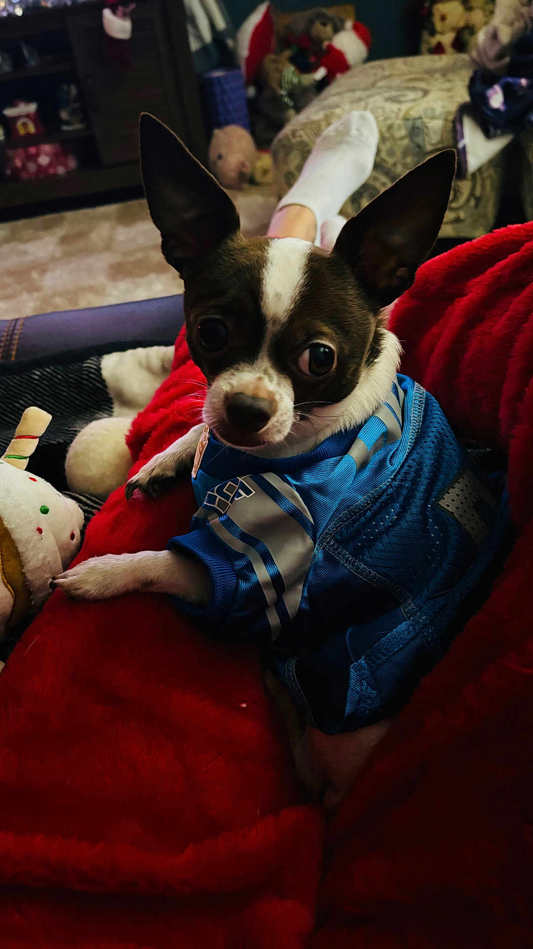 Duke
