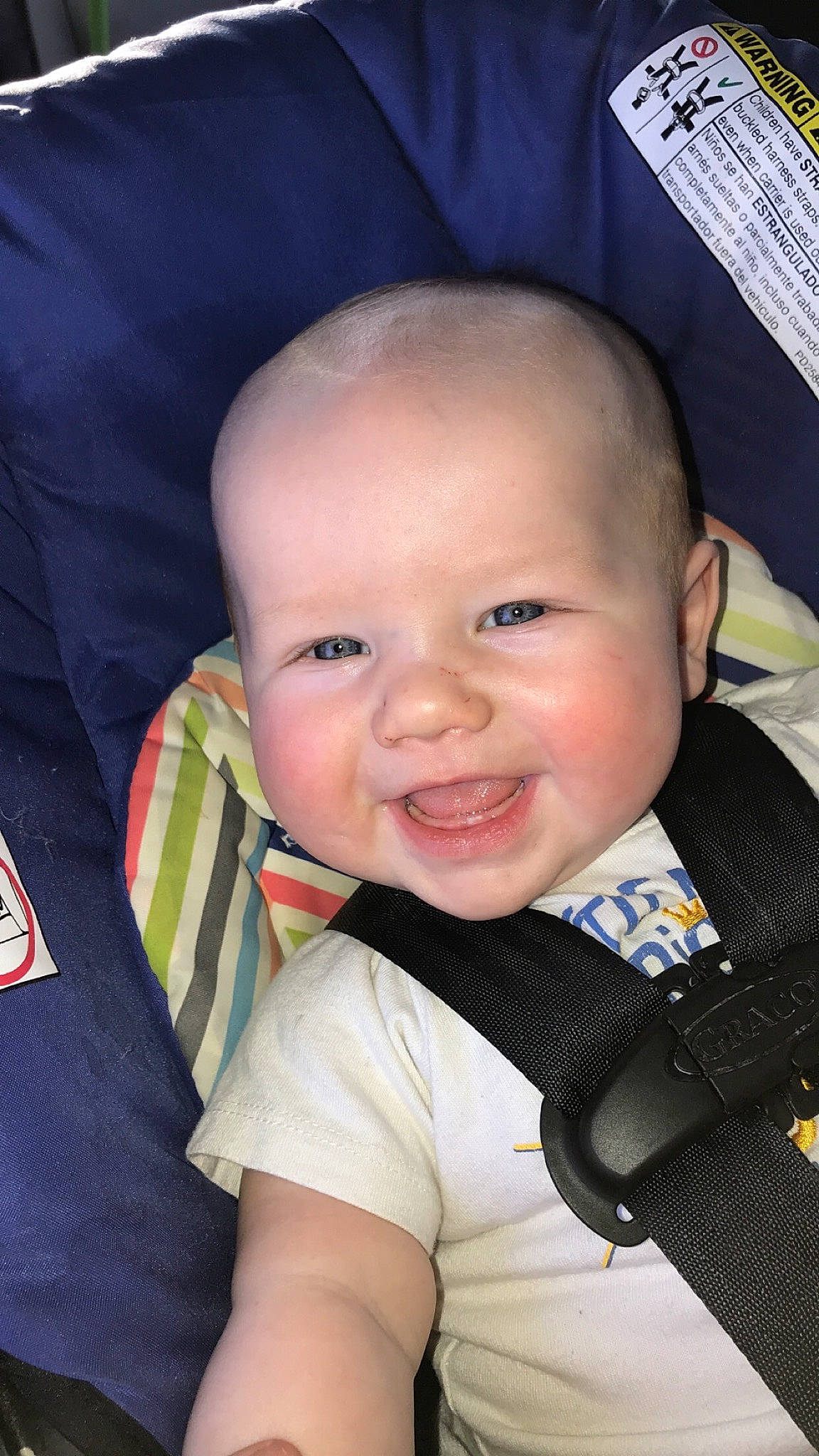 Blayze is registered to the contest to win money with this photo: baby, baby_carriage, baby_products, car_seat, cheek, child, chin, face, forehead, head, joy, lip, nose, person, product, skin, smile, toddler