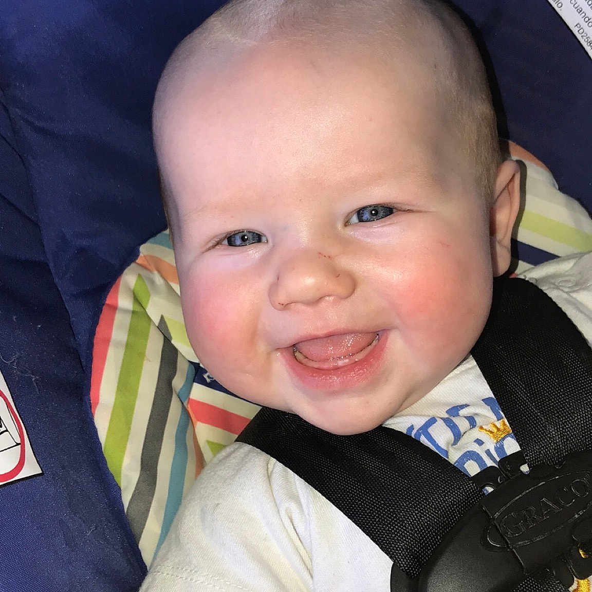 Blayze is registered to the contest to win money with this photo: baby, baby_carriage, baby_products, car_seat, cheek, child, chin, face, forehead, head, joy, lip, nose, person, product, skin, smile, toddler