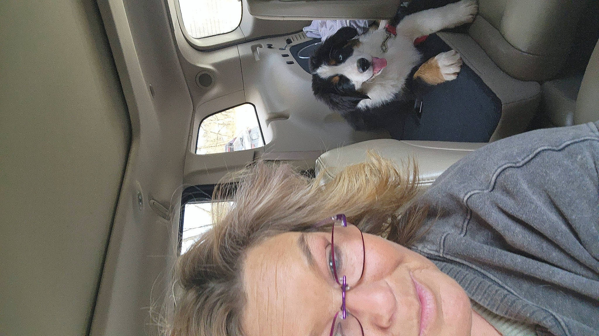 Hoss joined the competition — help win amazing prizes! auto_part, automotive_design, automotive_exterior, car, car_seat, comfort, eyelash, eyewear, family_car, gesture, glasses, jaw, luxury_vehicle, mammal, motor_vehicle, sunglasses, tree, vehicle_door, vertebrate, vision_care