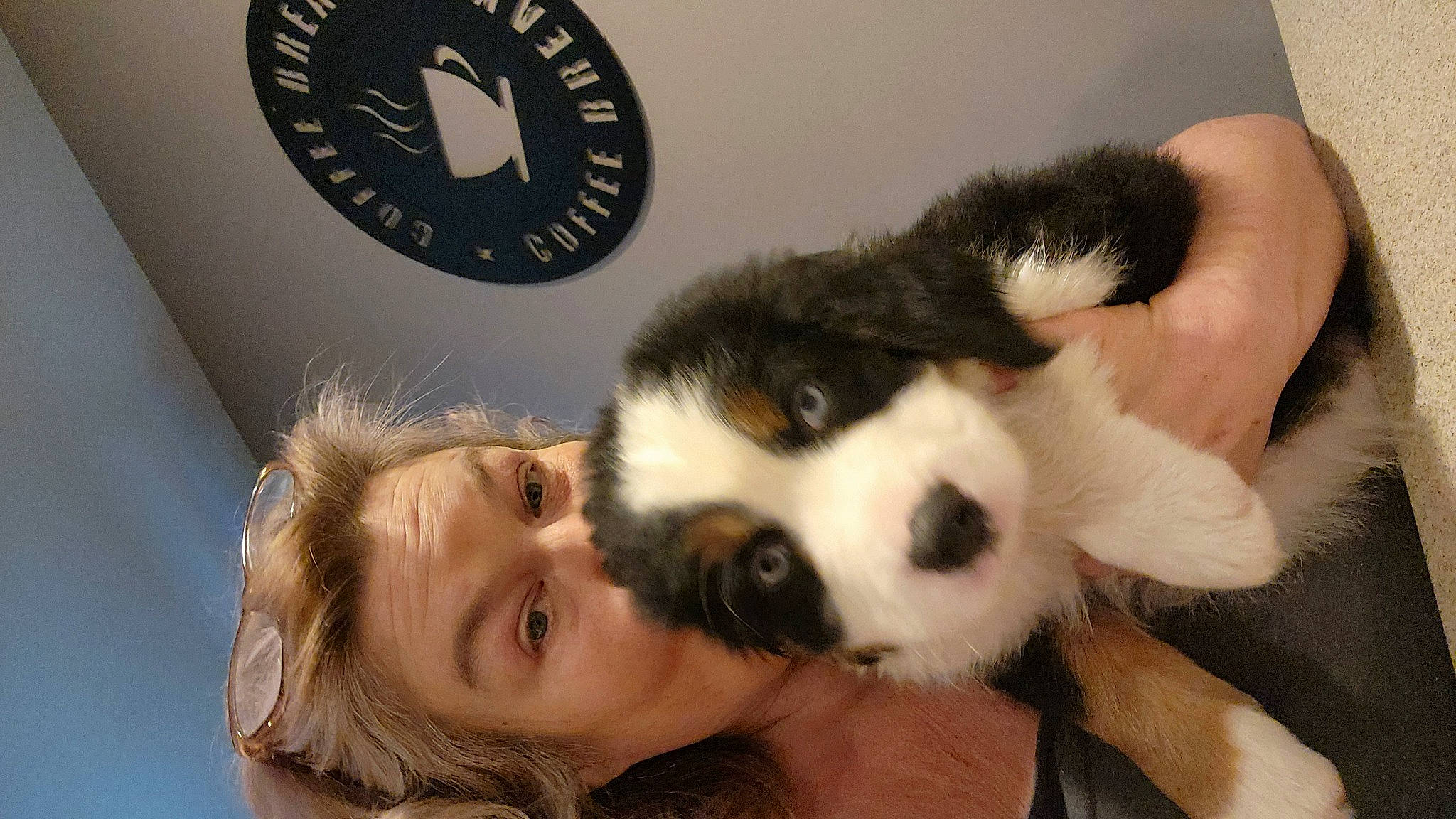 Hoss is registered to the contest to win money with this photo: canidae, carnivore, clock, companion_dog, dog, dog_breed, fur, happy, panda, paw, plush, smile, snout, sporting_group, stuffed_toy, terrestrial_animal, toy, toy_dog, whiskers, working_animal