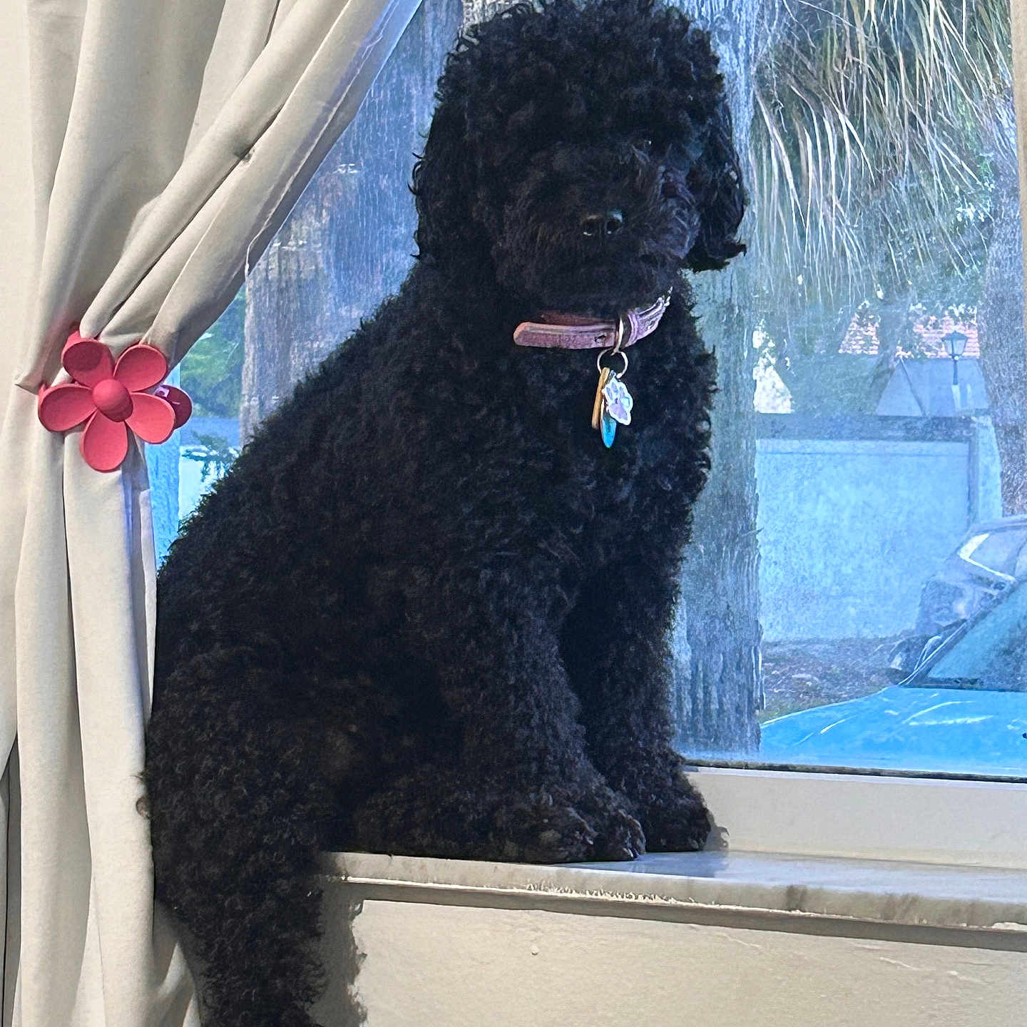 Zoe