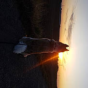 Olaf Optimus Pride participe au concours pour gagner de l'argent avec cette photo : heat, light, shadow